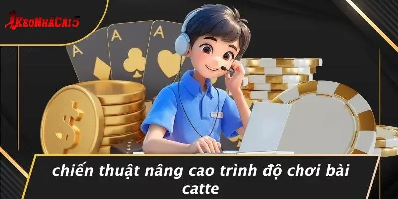 Chiến Thuật Nâng Cao Trình Độ Chơi Bài Catte