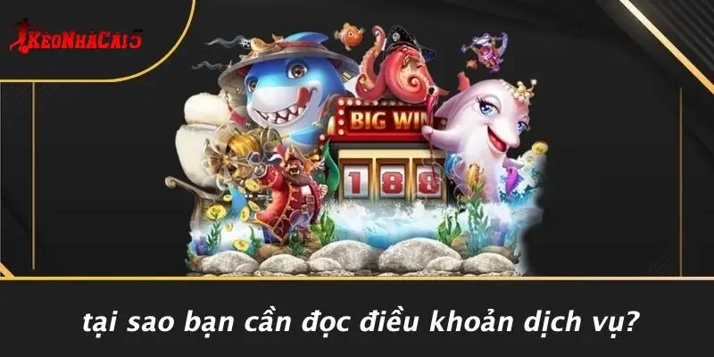 Tại Sao Bạn Cần Đọc Điều Khoản Dịch Vụ?