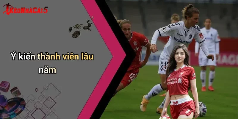 Ý kiến thành viên lâu năm