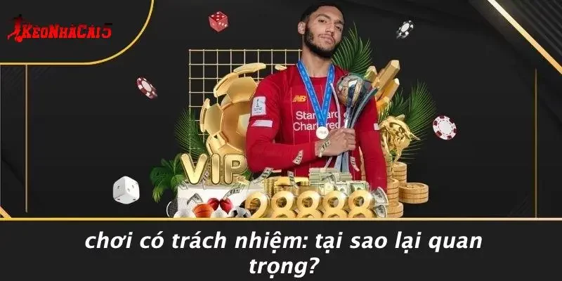 Chơi Có Trách Nhiệm: Tại Sao Lại Quan Trọng?