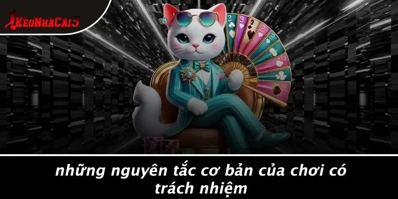 Những Nguyên Tắc Cơ Bản Của Chơi Có Trách Nhiệm